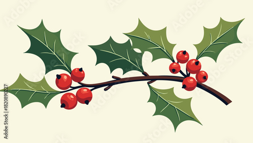 Holly berries leaves christmas with vibrant red clusters on green foliage