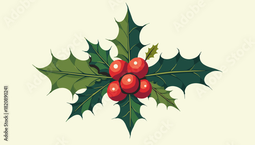 Holly berries leaves christmas closeup of red berries on glossy leaves