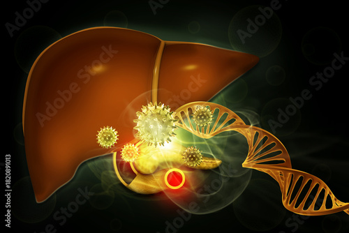 Human liver, integrate their DNA into the host genome, and the molecular mechanisms that lead to chronic liver disease. 3d illustration