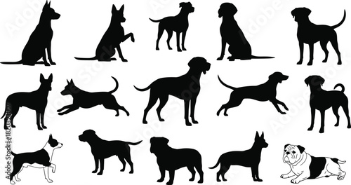 Dog breed silhouette set, standing, sitting, running poses, black on white, pet icon, posture variety, canine identification, animal pack