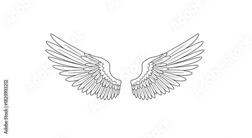Symmetrical pair of elegant angel or bird wings with detailed feathers rendered in a clean black and white line art style.