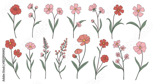 Beautiful collection of hand-drawn wildflowers and botanical elements in pink and red for creating lovely floral arrangements.