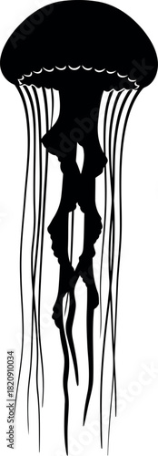 Black jellyfish silhouette ocean wildlife