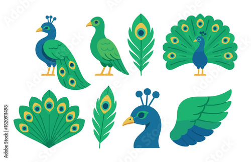 Colorful peacock illustrations on green background highlighting feathers and plumage art