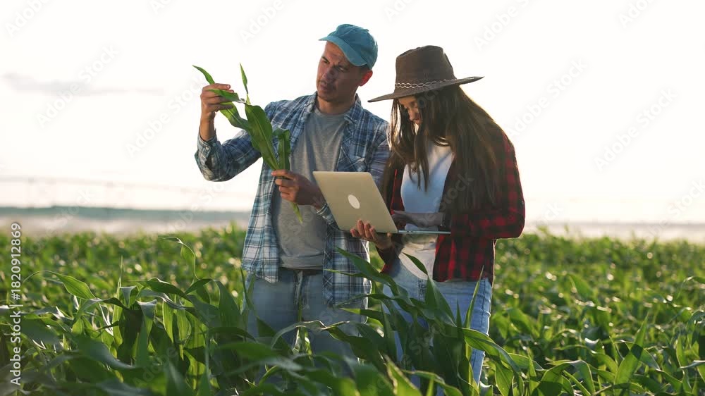 Wideo Stock: Inspecting corn field with laptop farmer and woman examine ...