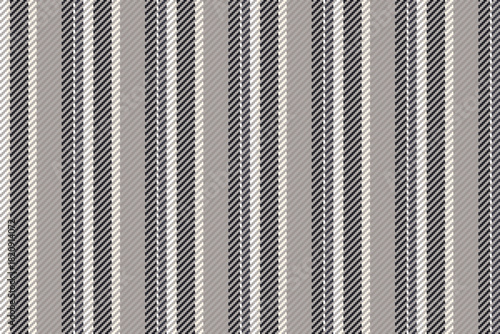 India pattern background texture, occupation vector seamless fabric. Wallpaper stripe lines textile vertical in grey and black colors.