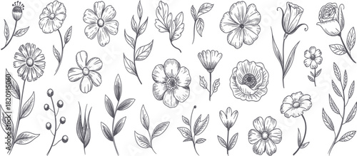 Set of Detailed Hand Drawn Flowers and Leaves, Vintage Botanical Sketch Collection, Engraving Style Rustic Floral Decoration Vector Graphic Elements