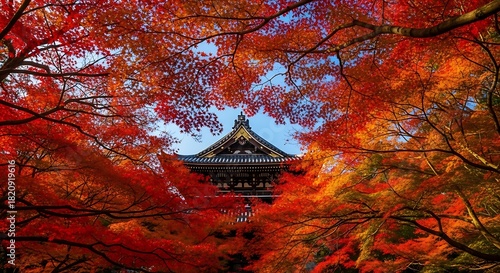 Traditional japanese temple framed by vibrant red and orange autumn maple leaves against a clear blue sky.