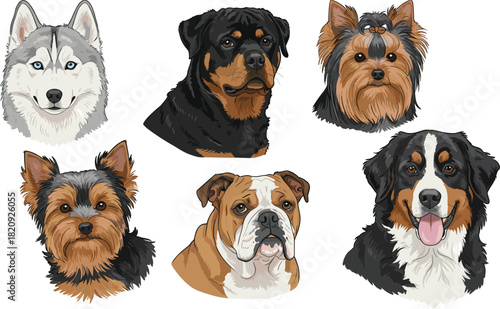 Dog breed portraits, cartoon pet faces, Siberian Husky, Rottweiler, Yorkshire Terrier, Bulldog, Bernese Mountain Dog, vector illustration, artwork