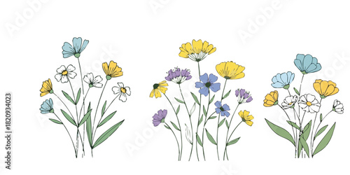 yellow and purple tulips