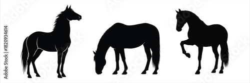 Silhouettes of Three Horses in Different Poses on a White Background