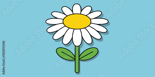 daisy flower on a green background