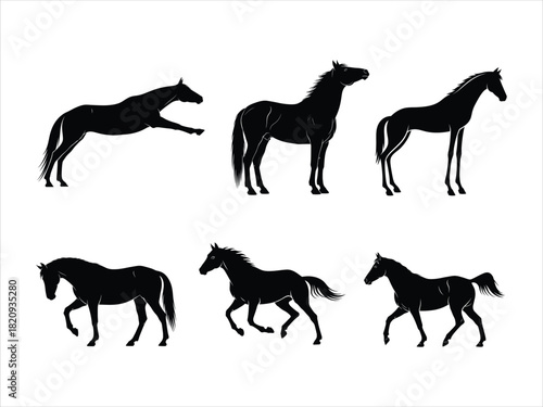 Dynamic collection of black horse silhouettes, illustrating diverse actions and elegant movements in equestrian art