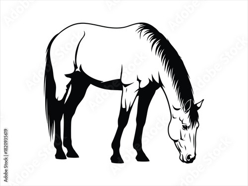 Black and White Illustration of a Grazing Horse with Detailed Mane