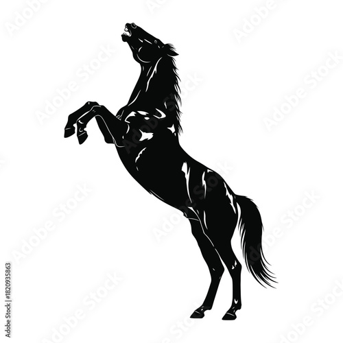 Elegant black mustang horse rearing, an isolated vector graphic illustration