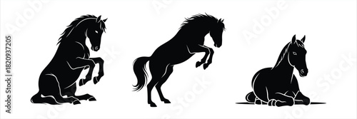 Dynamic black horse silhouettes showcase different equine forms and stages, from playful foal to majestic adult, captured in elegant vector illustrations