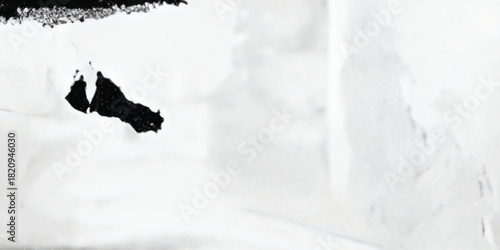 Old ripped torn blank black and white posters textures backgrounds grunge creased crumpled paper vintage collage placards empty