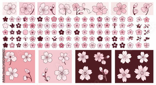 A comprehensive collection of Japanese cherry blossom flower illustrations and icons. A versatile set of sakura vector design elements