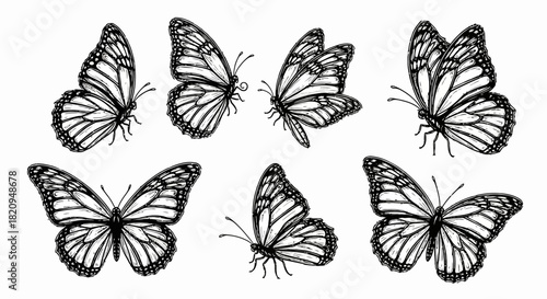 A delicate collection of six hand-drawn butterfly illustrations in black and white, showcasing various flight and resting poses in a sketch style