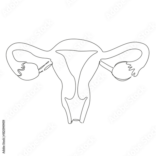 One continuous single drawing line art flat doodle uterus, woman, anatomy, organ, gynecology, reproductive, vagina. Isolated image hand draw contour on a white background, hand drawn, not AI
