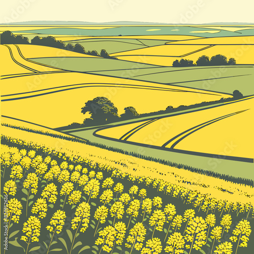 Stylized illustration of rolling yellow rapeseed fields and green pastures under a pale sky