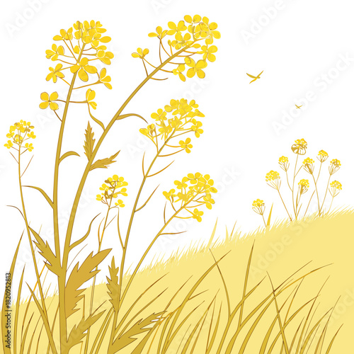 Golden yellow rapeseed flowers bloom on a grassy hill under a clear sky with distant birds flying