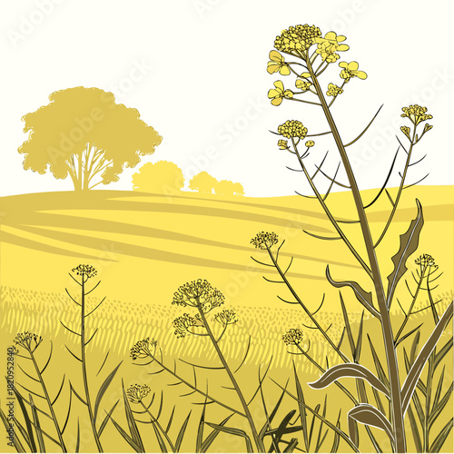 Stylized illustration of a yellow canola field with rolling hills and trees under a white sky