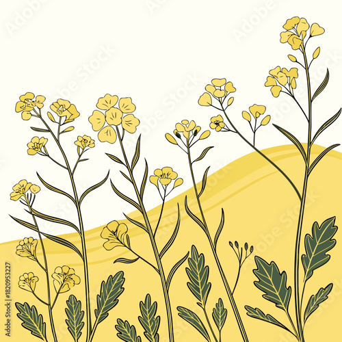Delicate yellow wildflowers with dark green leaves and stems against a soft yellow and white background