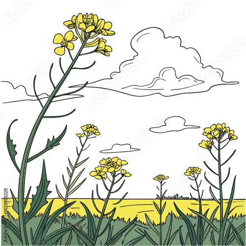 Stylized illustration of yellow rapeseed flowers blooming in a field under a cloudy sky
