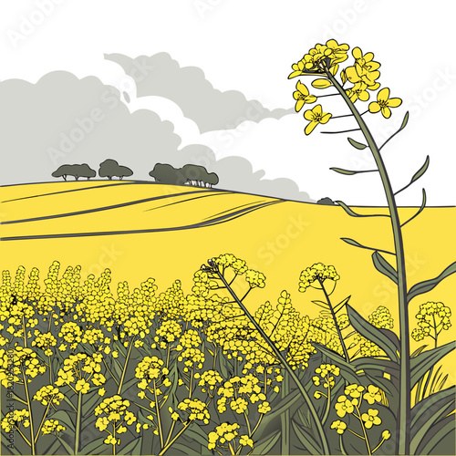 Vibrant yellow canola field under a cloudy sky with rolling hills and distant trees