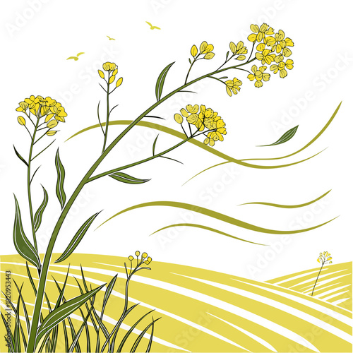 Stylized illustration of yellow rapeseed flowers in a field with birds flying in the sky