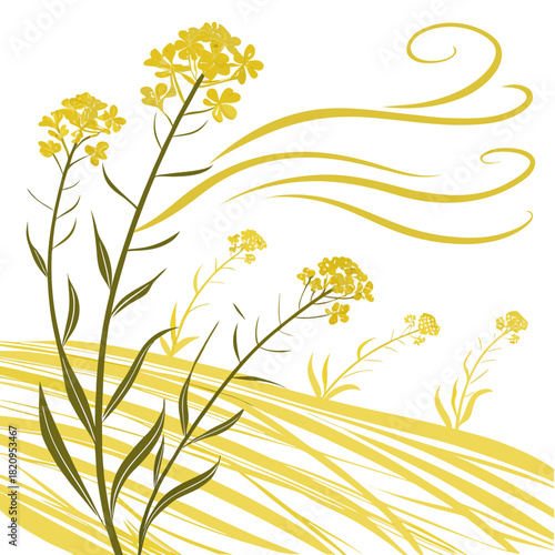 Stylized yellow rapeseed flowers sway in the wind against a white background with abstract yellow lines