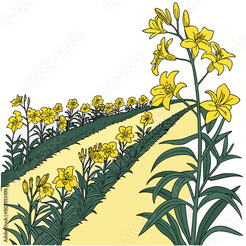 A picturesque path lined with blooming yellow lilies on a bright sunny day