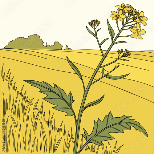 Illustration of a flowering plant with yellow blossoms in a golden field under a pale sky