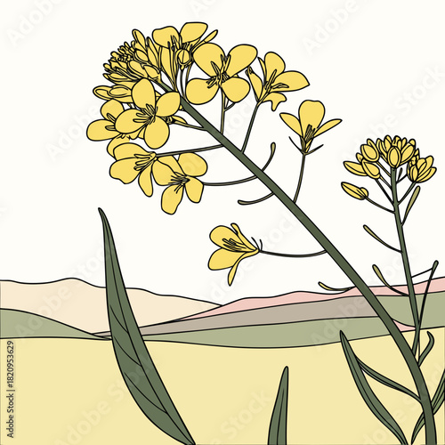 Stylized illustration of yellow rapeseed flowers blooming in a field with rolling hills in the background
