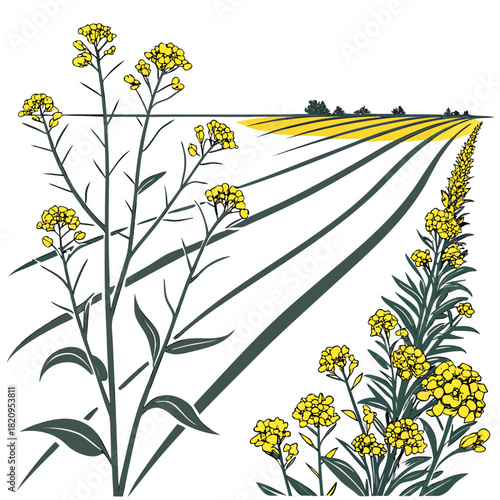 Stylized illustration of bright yellow rapeseed flowers blooming in a vast agricultural field under a clear sky