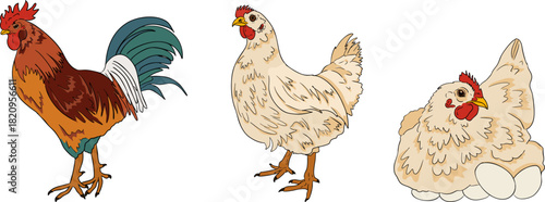 A vibrant and detailed set of colorful realistic vector illustrations depicting various elements of a modern farming and agricultural business.