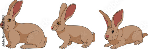 A vibrant and detailed set of colorful realistic vector illustrations depicting various elements of a modern farming and agricultural business.