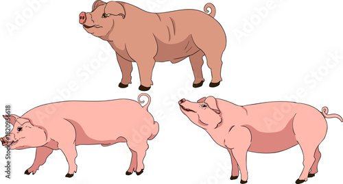 A vibrant and detailed set of colorful realistic vector illustrations depicting various elements of a modern farming and agricultural business.