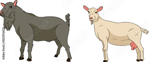 A vibrant and detailed set of colorful realistic vector illustrations depicting various elements of a modern farming and agricultural business.