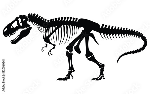Silhouette of a tyrannosaurus rex dinosaur skeleton