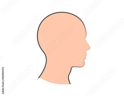 A side view illustration of a human head and neck silhouette against a white background