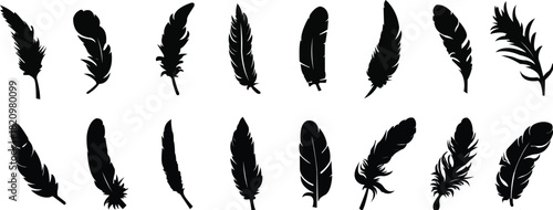 Minimal black feather silhouettes in assorted slim and curved forms, vector illustration set. Decorative bird feathers with clean lines arranged in two neat rows.