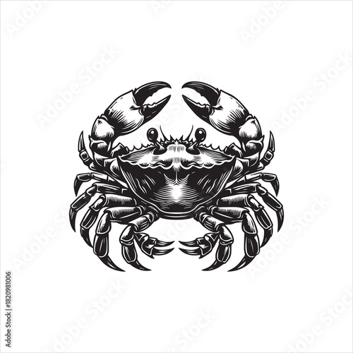 Vector Logo Illustration of a Crab on a White Background - Detailed Graphic