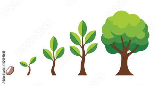 A sequence of illustrations shows the growth stages of a tree, starting from a seed and progressing to a mature tree.