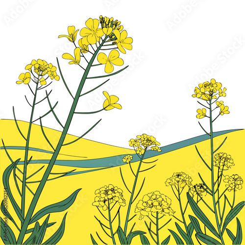Vibrant yellow canola flowers bloom in a stylized landscape with rolling hills and a blue river
