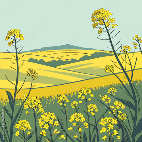 Stylized illustration of a vibrant yellow rapeseed field with rolling hills and blue sky in the background