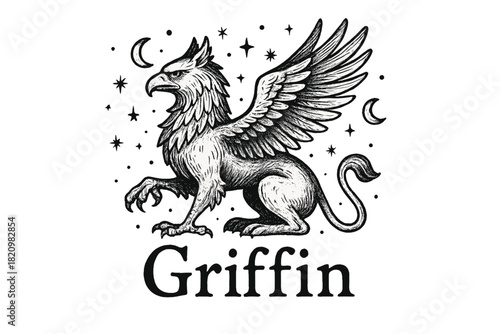 Black and white drawing of a large bird with a white wing and a black tail