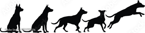 Dog movement silhouette sequence, sitting to leaping, black on white, posture icon, dynamic motion, pet activity, canine gesture, animation reference