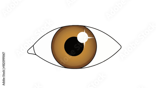A closeup illustration of a brown eye with a black pupil and a white highlight